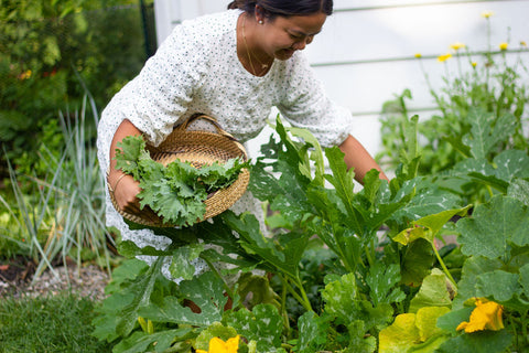 Jennifer harvesting vegetables in the garden