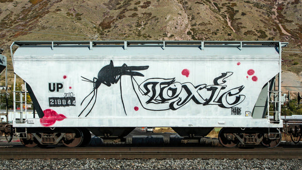 Full side train graffiti