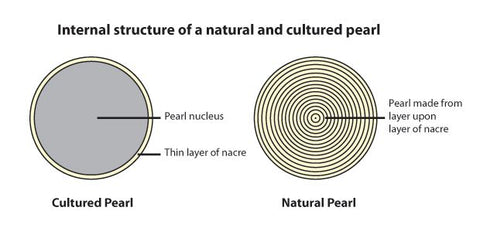 Cultured vs Natural Pearl Diagram