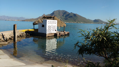 Vista de la Granja de Perlas en Guaymas tras el Huracán Newton