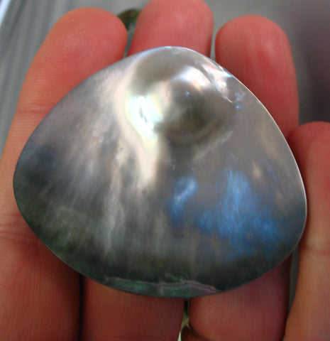 Large Pinctada mazatlanica Blister Pearl from the Pearl Farm in Guaymas