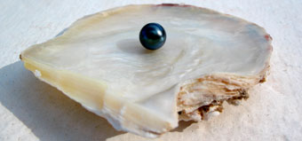 A Natural Black Pearl from the Rainbow Lip Oyster