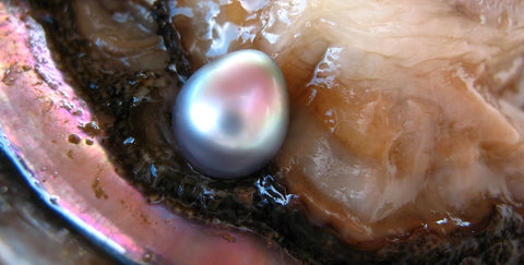 A Cultured Pearl is Born!
