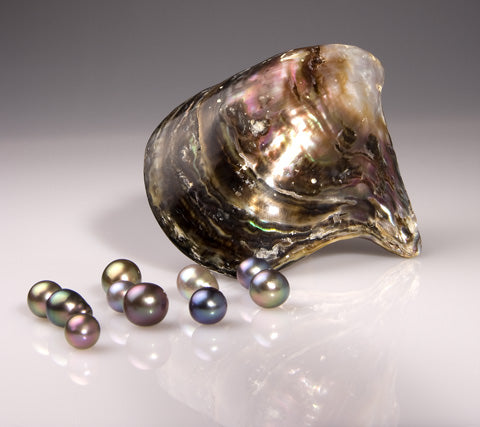 Rainbow Lip Oyster Pteria sterna & Cultured Pearls