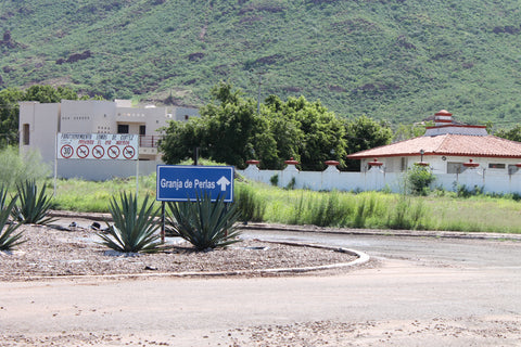 Entrada a Lomas de Cortes