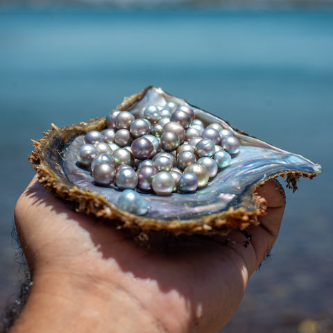 Perlas del Mar de Cortez