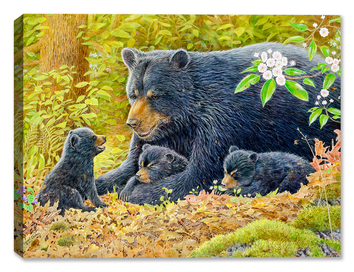 Буран и медвежата. "Медведи в лесу" Kim Norlien. Картина медведь. Медведь в лесу. Медведица с медвежатами в лесу.