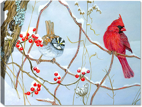 Songbirds on Canvas