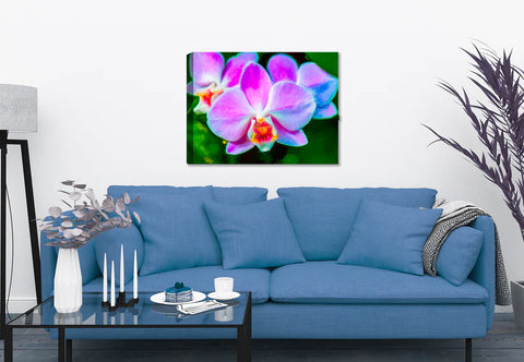 Canvas Image on Living Room Wall