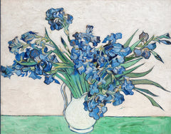 Van Gog Oil Painting - Irises