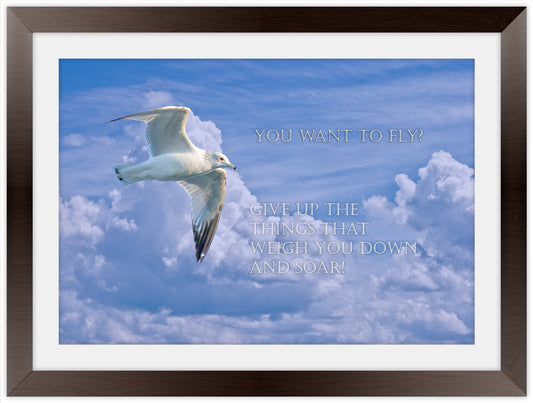 Want to Fly? - Inspirational Framed Art Giclee'