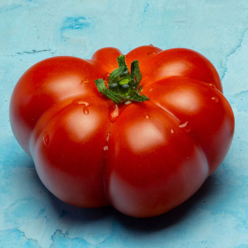 Postgrado  Brandywine Pink Heirloom Tomato 30+ seeds Non-GMO 100% ORGANIC  Grown in USA