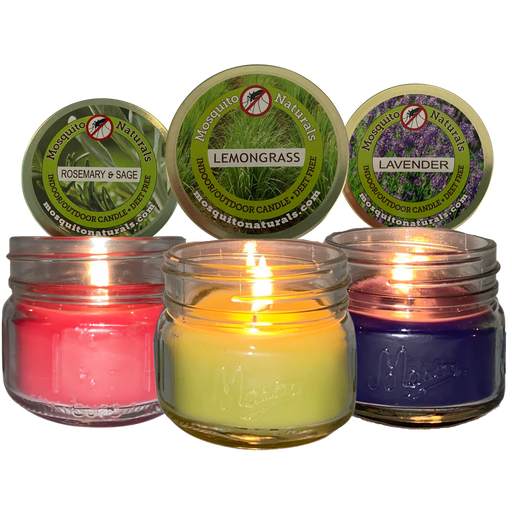 Citronella Candles, Scented Candles Gift Set of 4 x 4.4 oz, Natural Soy Wax Aromatherapy Candle for Outdoor and Indoor, Purple