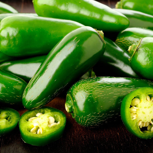 Mild Jalapeno M Pepper, Two Live Garden Plants