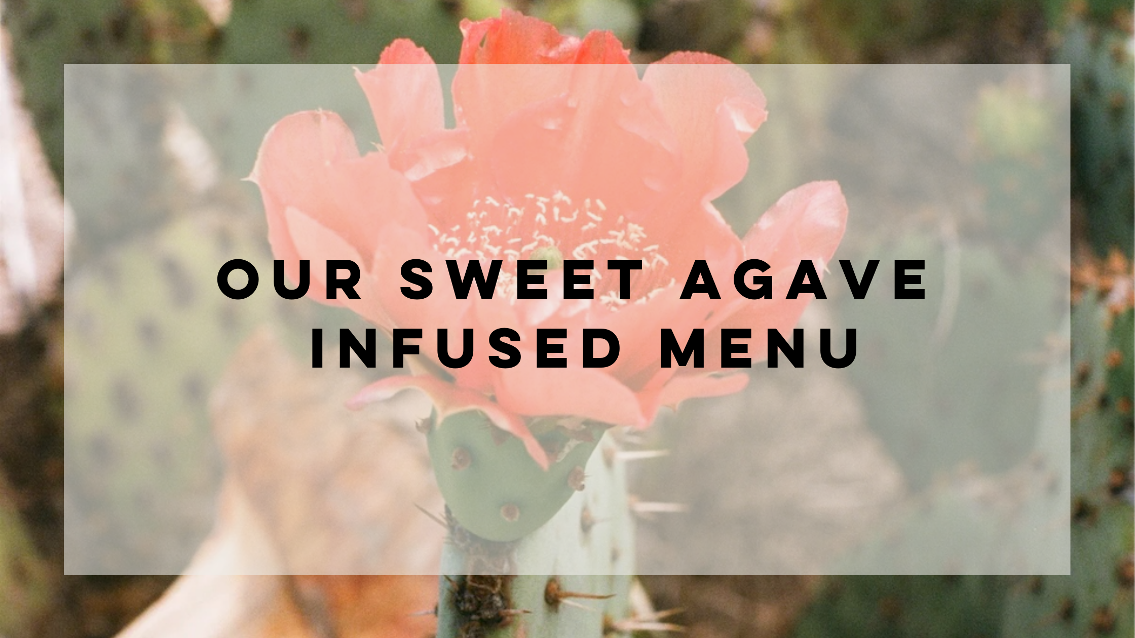 Noted Candles | Agave Menu Inspired By Cactus Flower Scent