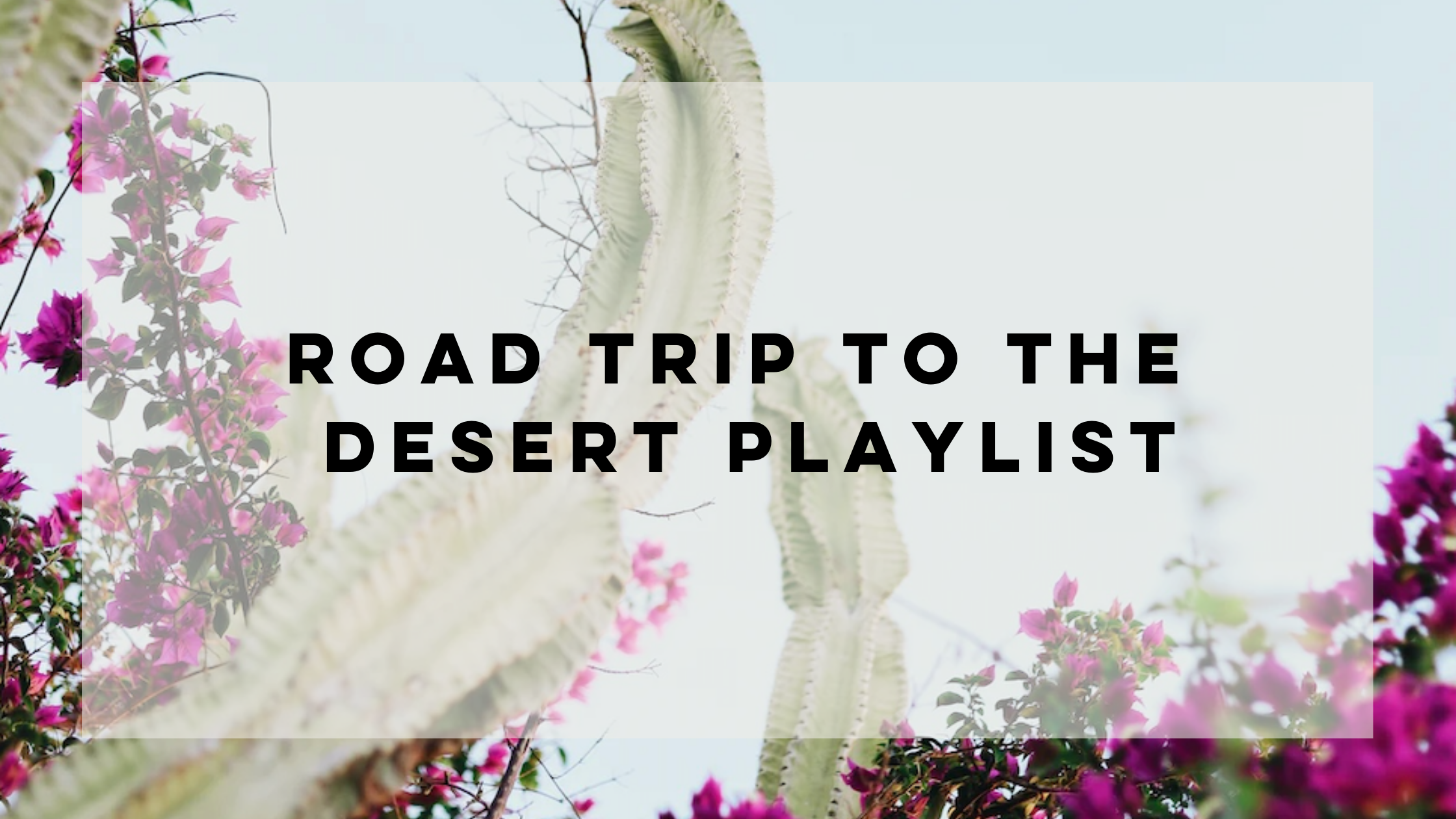 Noted Candles | Cactus Flower Inspired Playlist For Desert Roadtrip