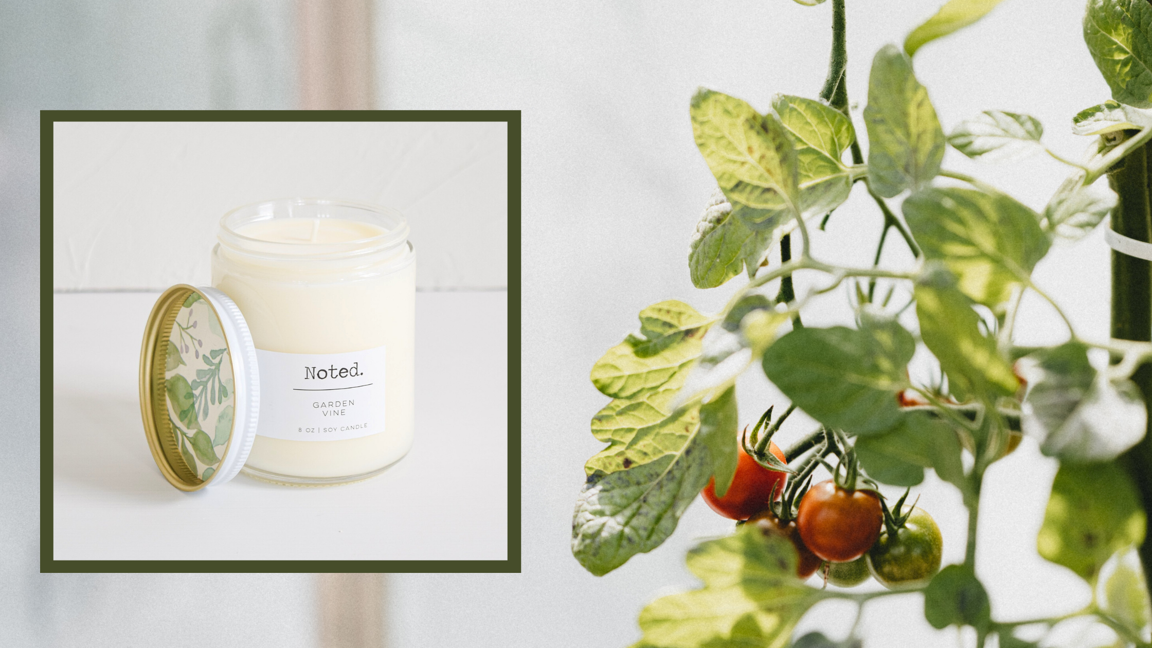 Get To Know Our Garden Vine Fragrance: Notes of Lemongrass, Tomato and Summer Herbs