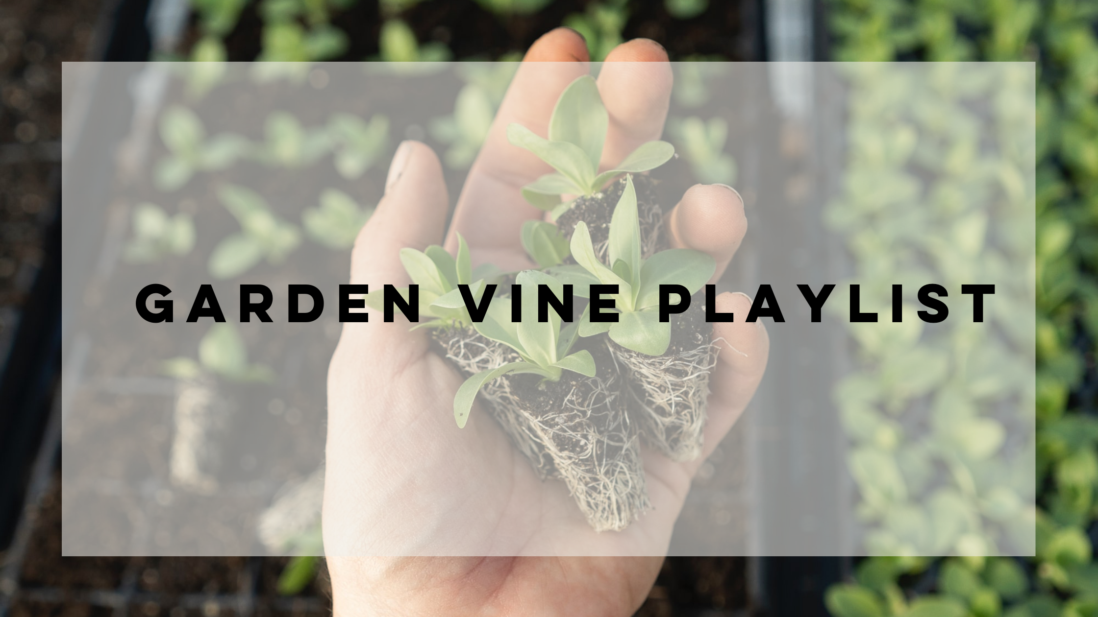 A playlist inspired by our Garden Vine scent | Noted Candles