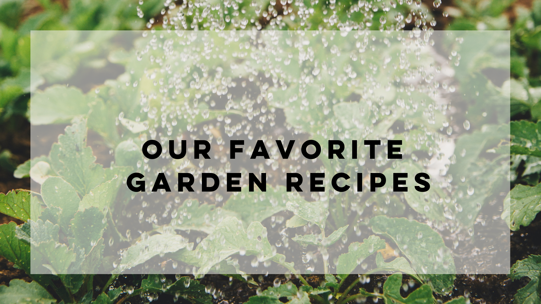 A collection of recipes inspired by our Garden Vine Candle | Noted Candles