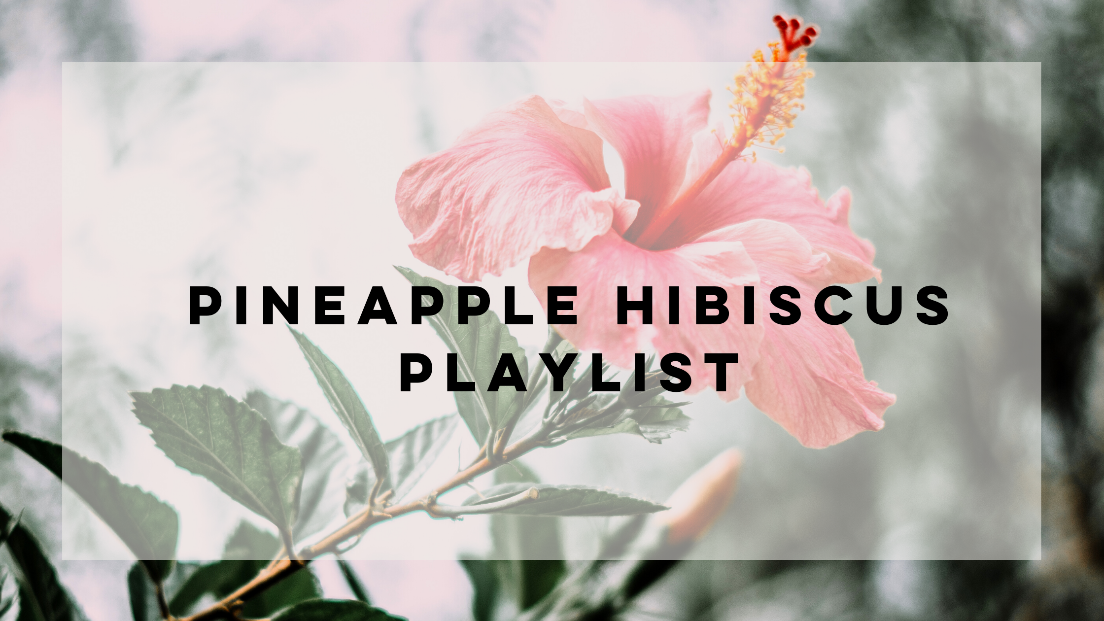 Pineapple Hibiscus Tropical Playlist | Noted Candles