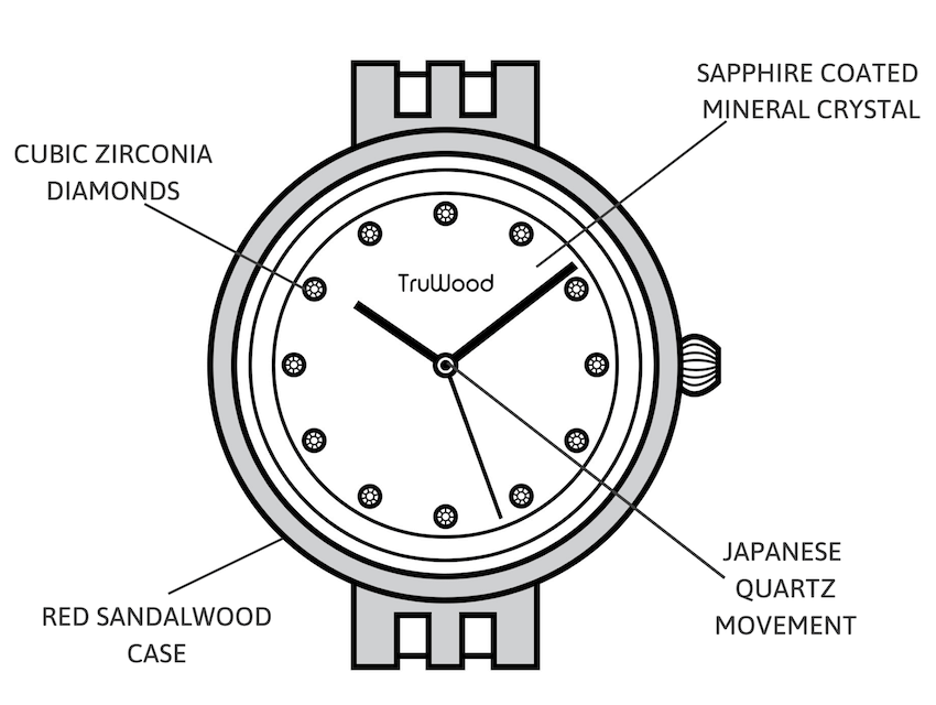 Cubic zirconia watch