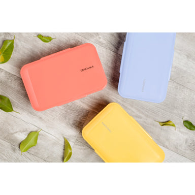 Bento Nibble Box  Assorted Colors — ARTISANS & agency