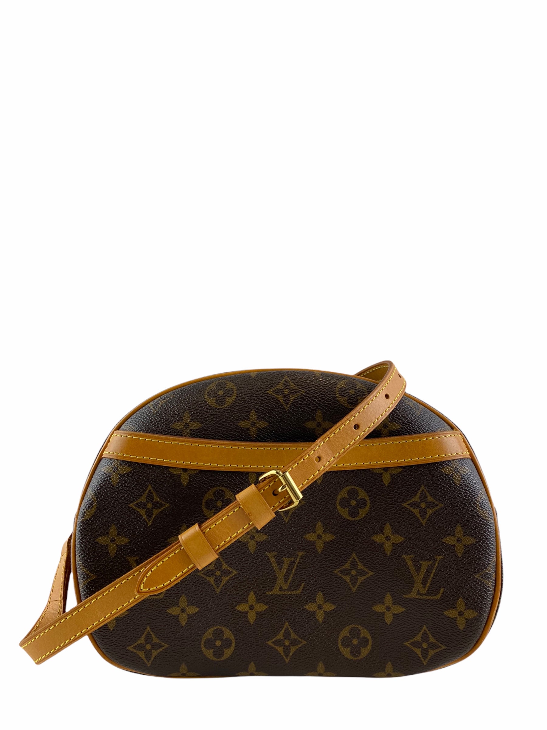 Louis Vuitton Blois Bag ( Vintage bag) 