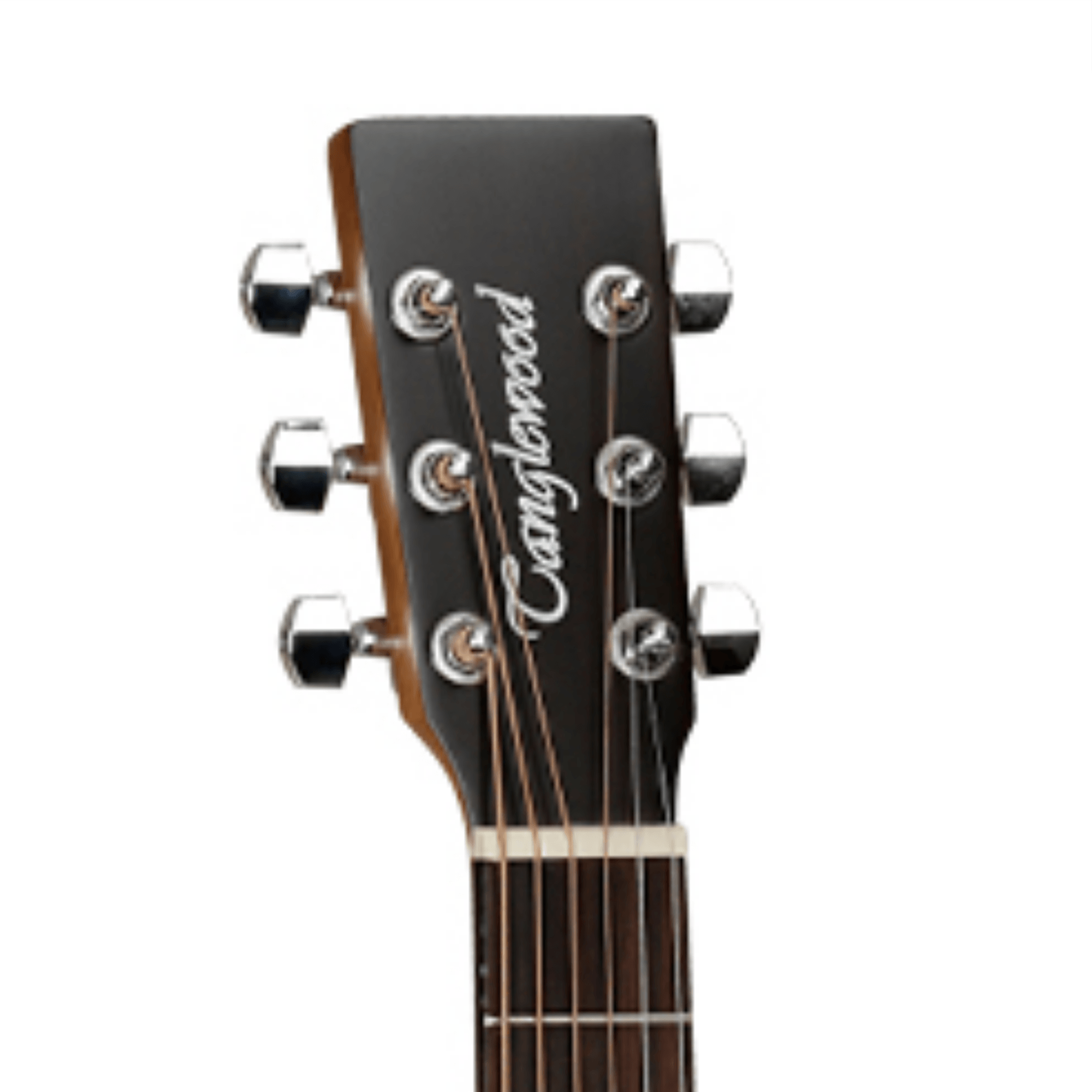 tanglewood tw2t winterleaf travel guitar