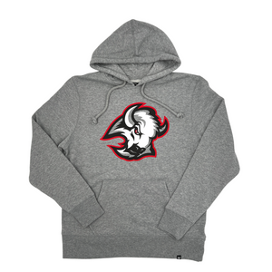 Buffalo Sabres Hoodie 3D Reverse Retro Redesign Custom Sabres Gift