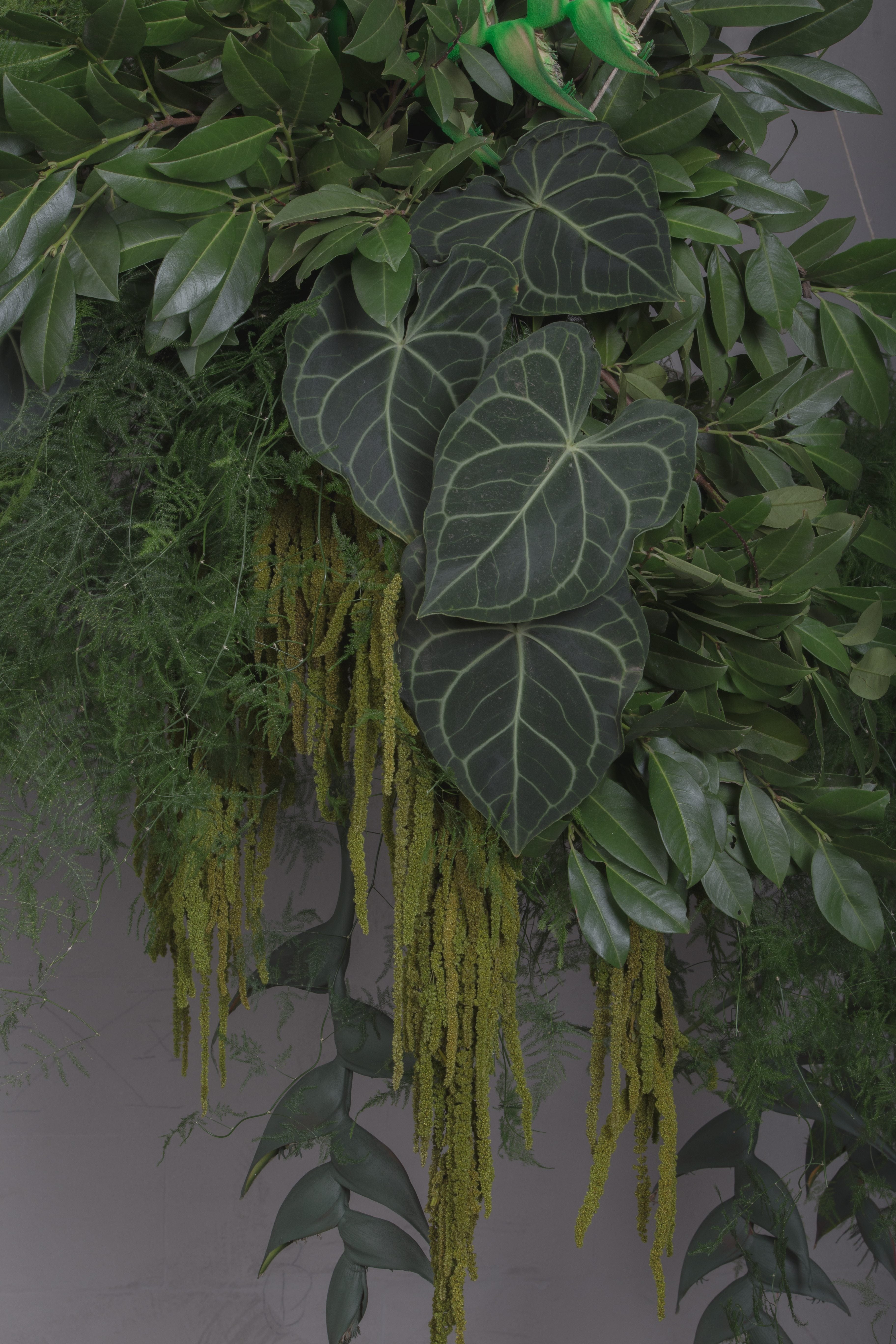 finecut-weddings-collection-2019-textured-green-arrangement-Cherry-laurel-and-asparagus-Washingtonia-fan-palm-and-flamingo-leaves-green-tails-amaranth-with-zesty-green-Heliconia-flowers