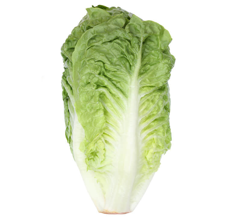 romaine lettuce or romaine hearts