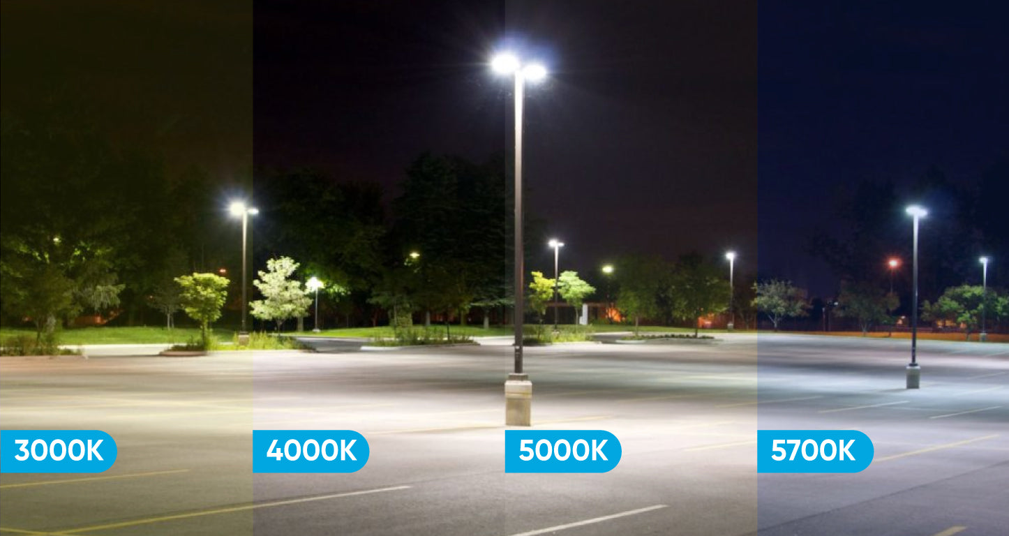 renhed prangende Konsulat Buyer's Guide for LED Parking Lot Light – LEDMyPlace