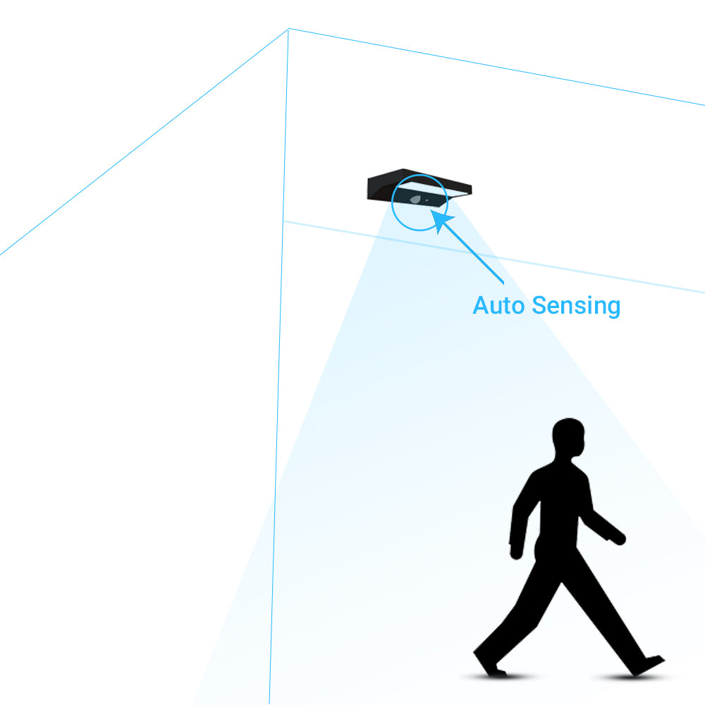 Auto Sensing