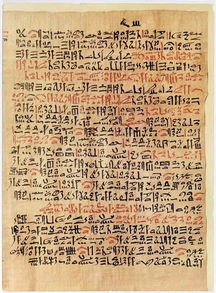 An image of the Ebers Papyrus