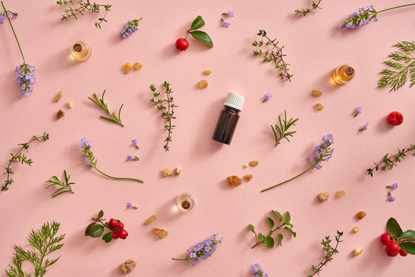 An image of essential oils and dried herbs arranged in a pleasing pattern on a pink background