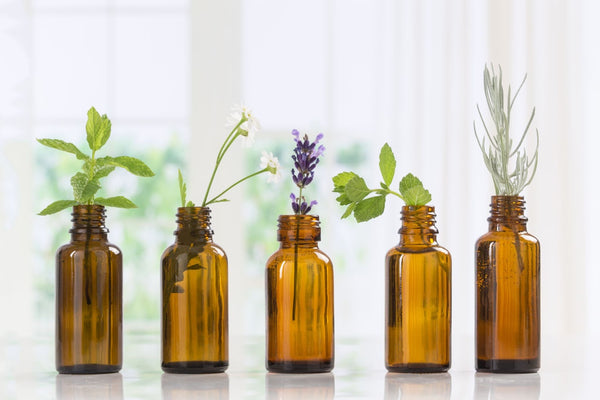 A row of five amber bottles hold water and fresh-cut herbs  aginas