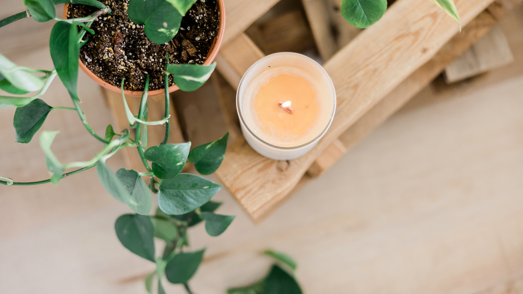 soy wax candle in glass vessel burns next to a potted pothos vine
