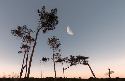 Last Quarter Moon Phase