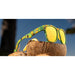 Goodr BAMF G Sunglasses : Tropical Opticals - Cuckoo for Coconuts goodr