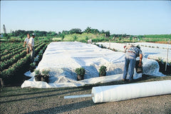 frost cloth covering field