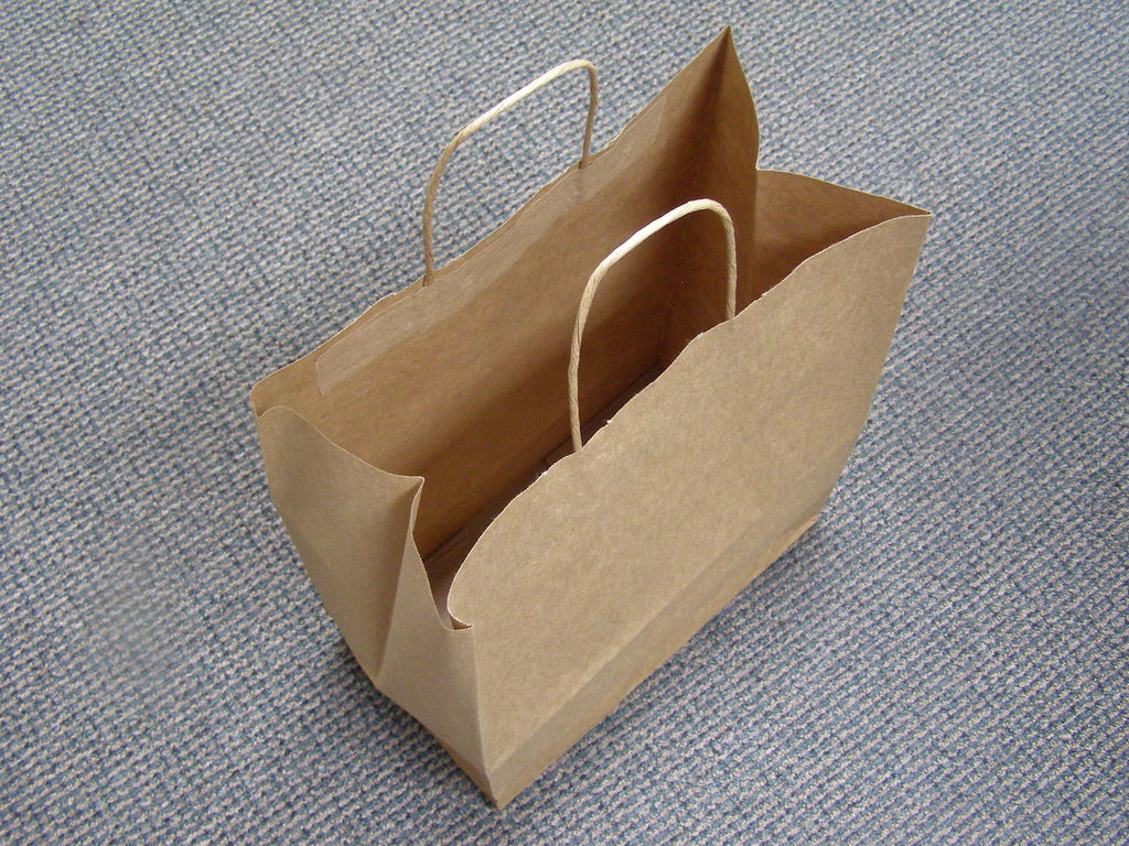 Download Paper Bag with Rope Handle