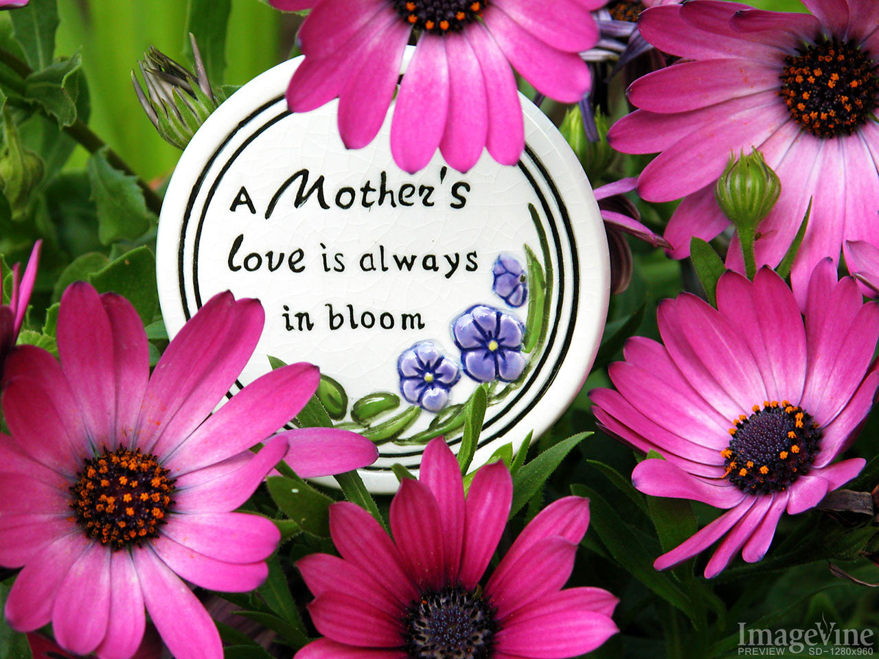 A Mother's Love Backgrounds – ImageVine