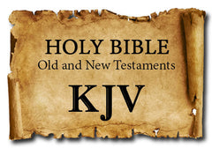 Niv Bible For Easyworship