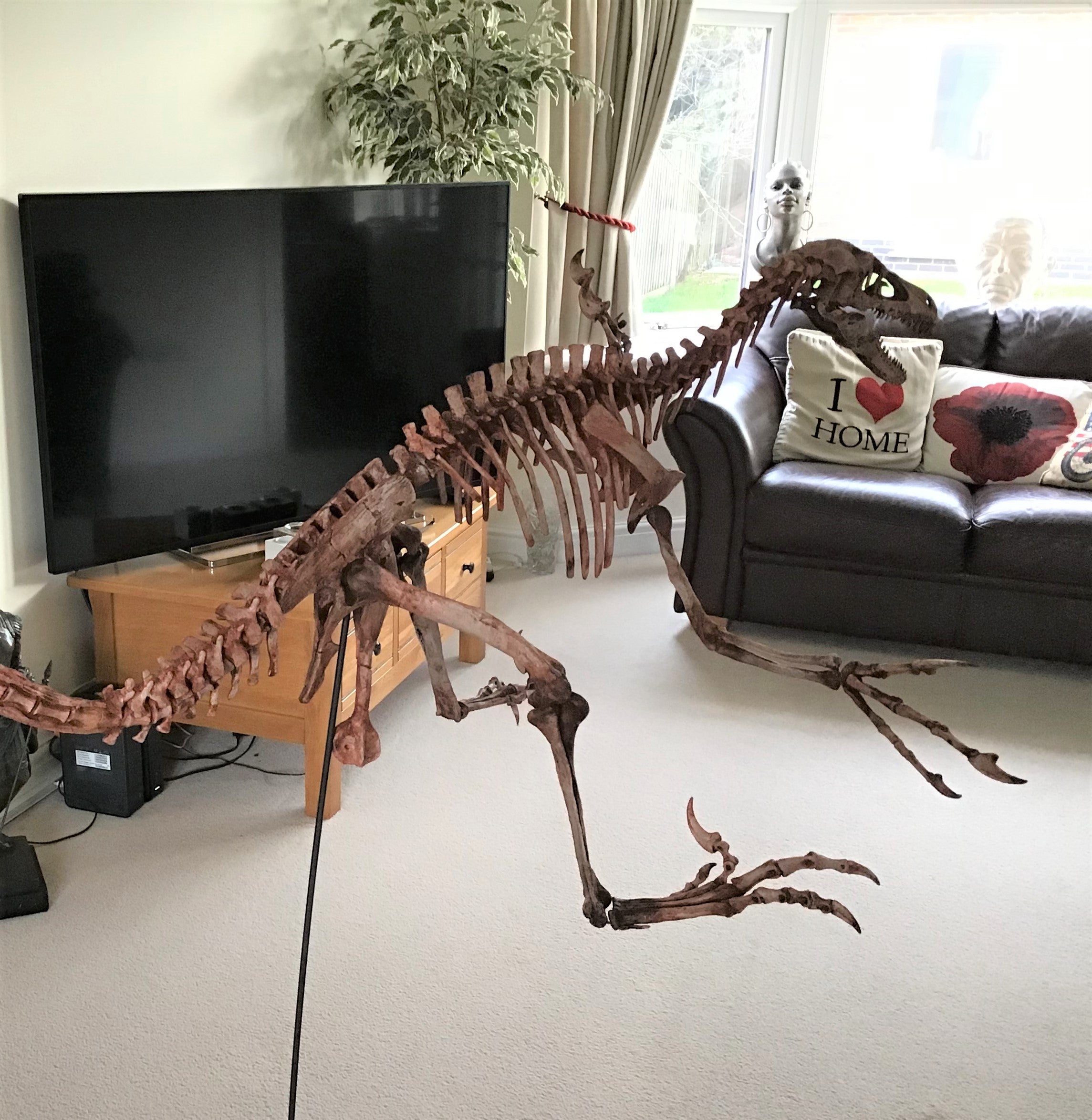 Velociraptor Skeleton 