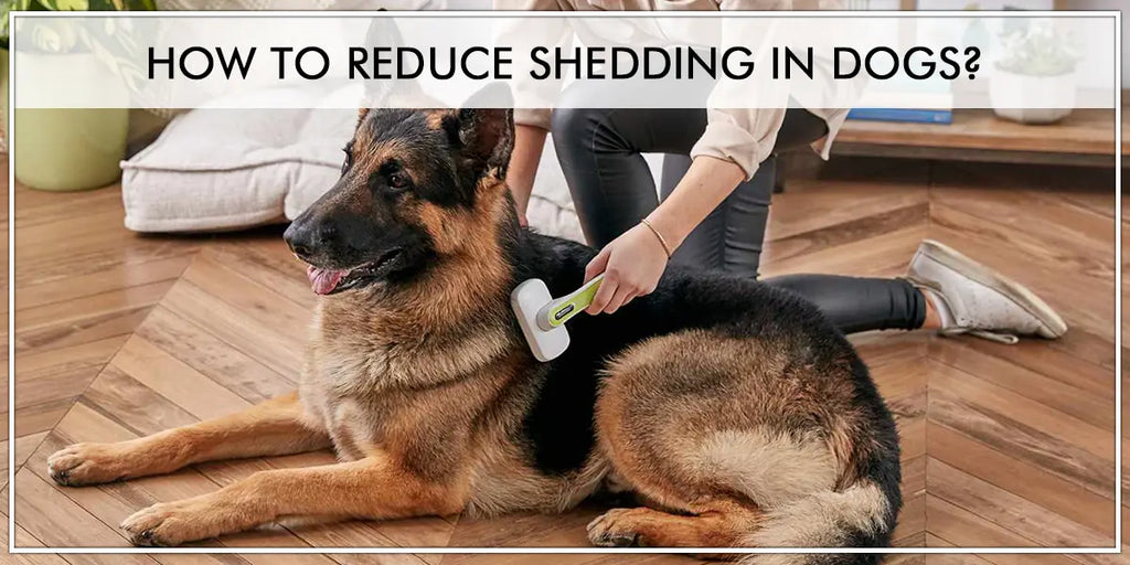 how to control shedding german shepherd