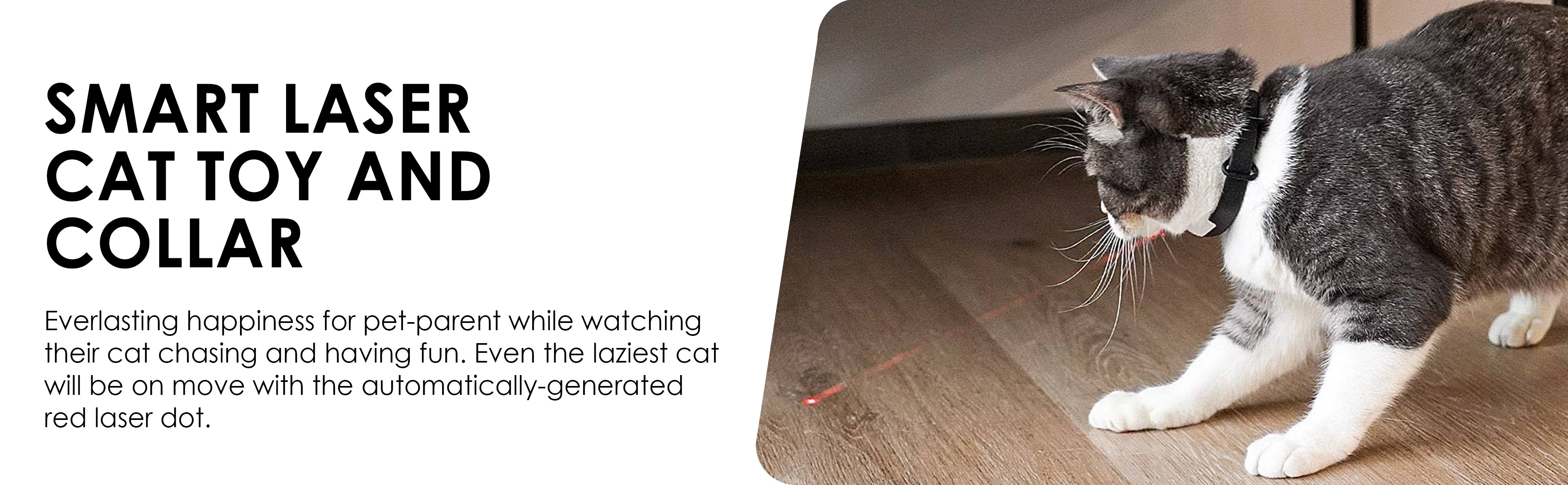 Cat Interactive Collar