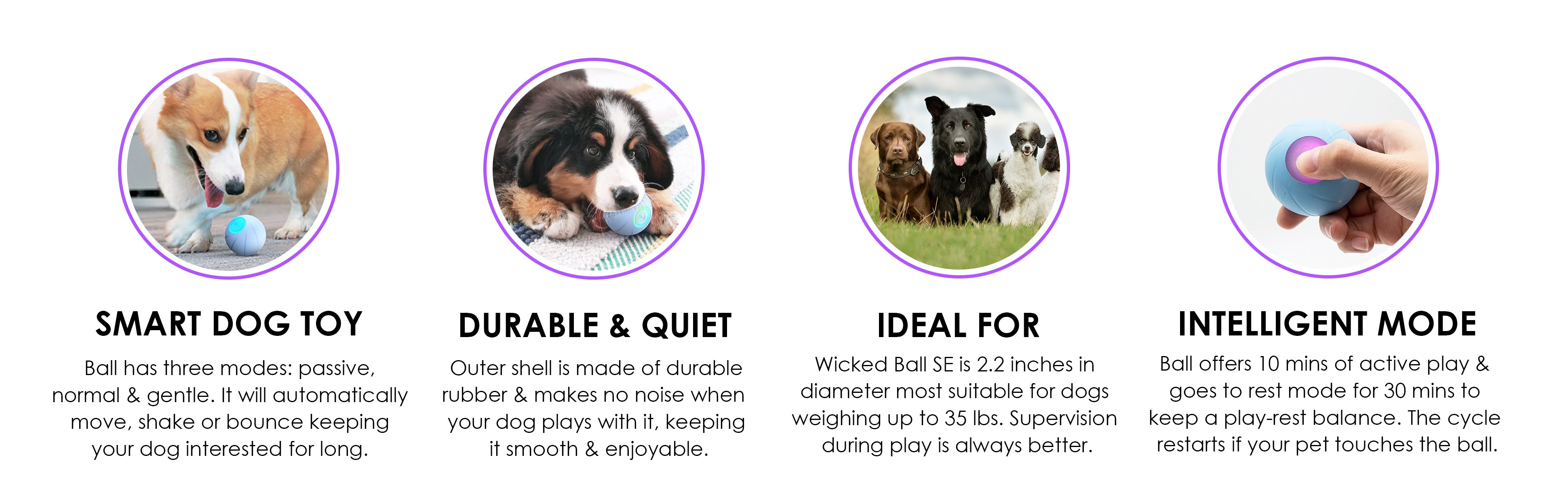 Interactive dog Ball