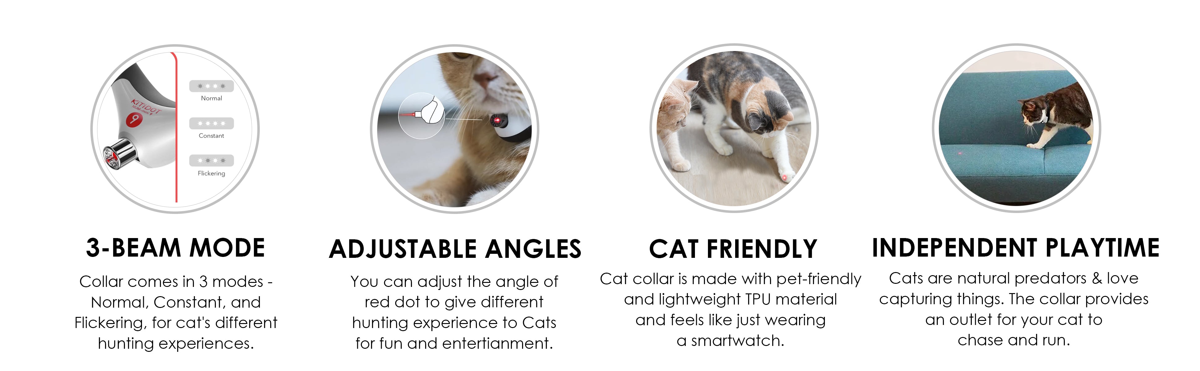 Cat Interactive Collar
