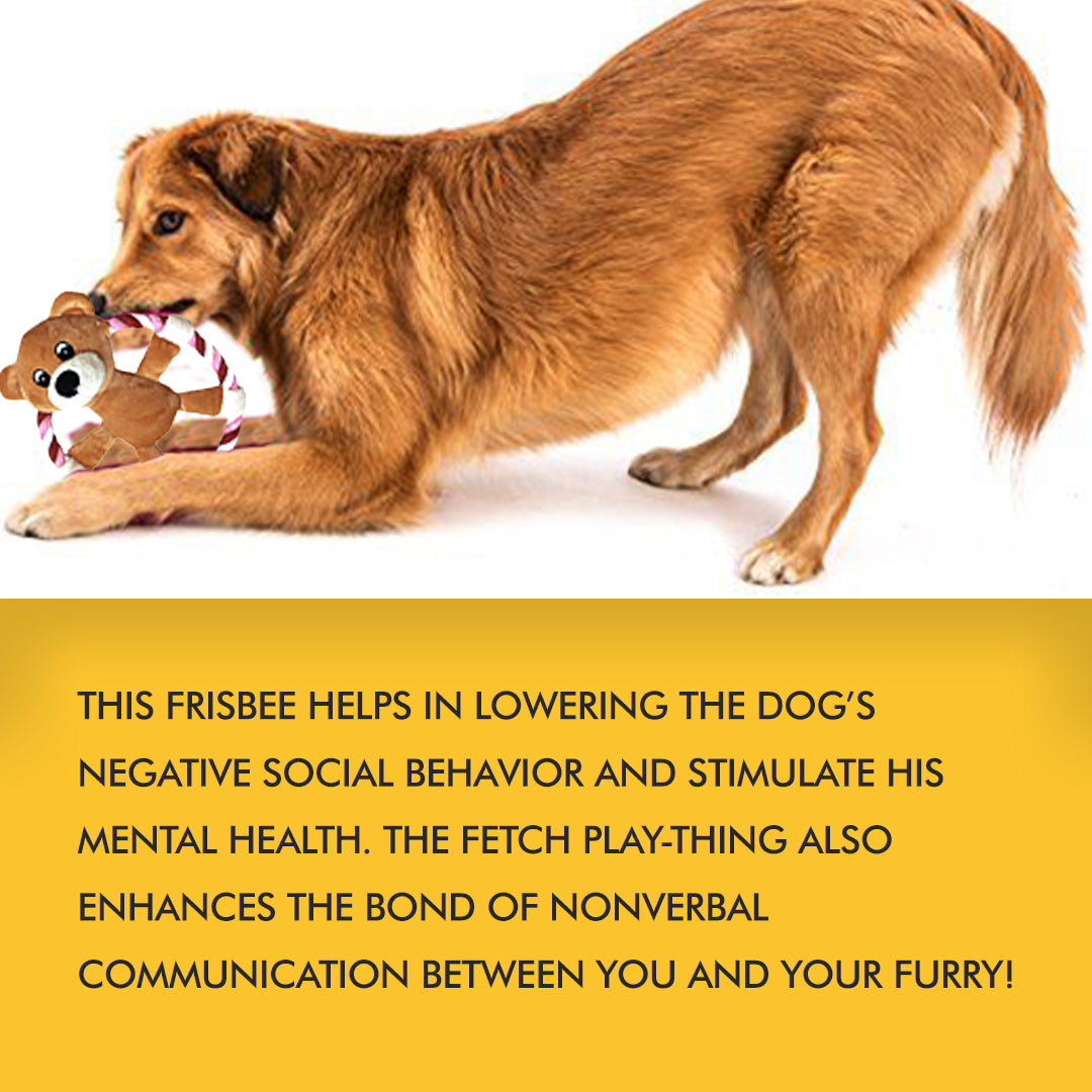 toys for dogs