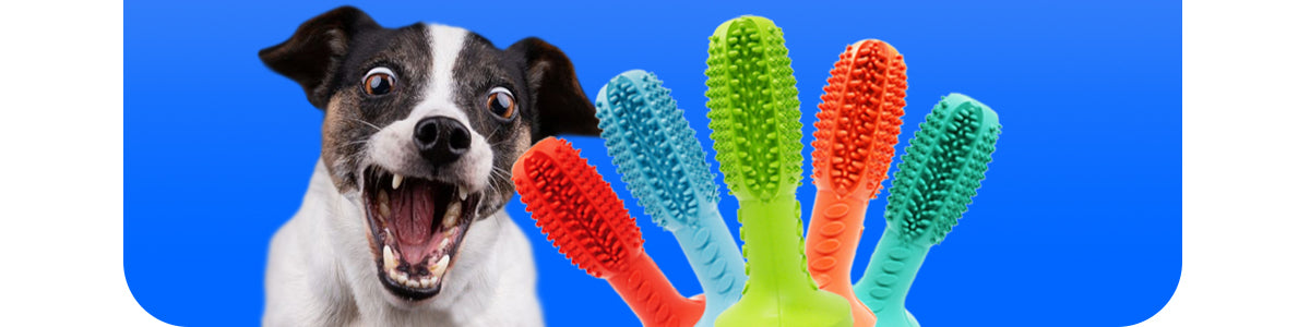 Dog Dental Toy